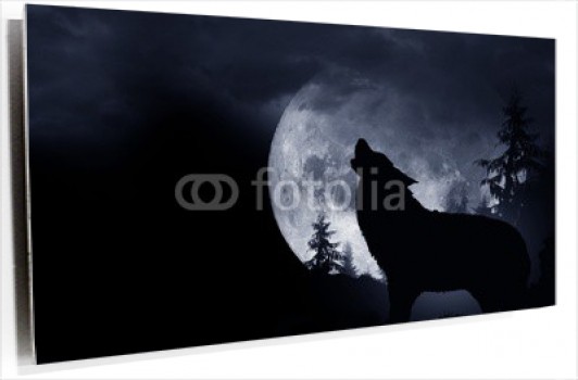 cartoon-wallpaper-22.jpg